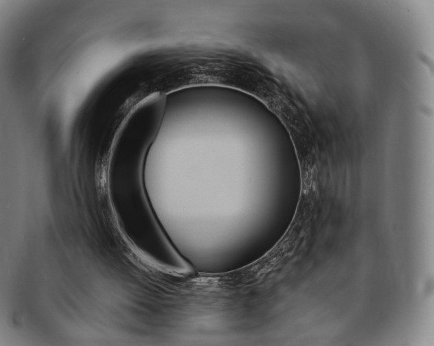 X0000091650052200708231019