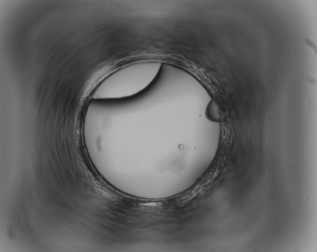 X0000091650053200708231019