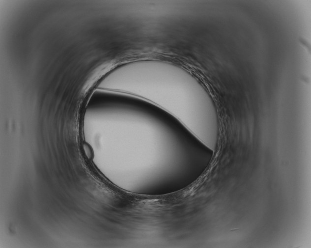 X0000091650054200708231019