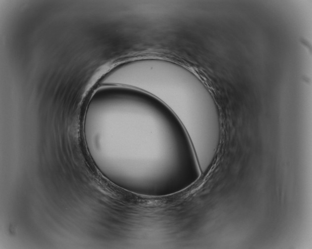 X0000091650056200708231019
