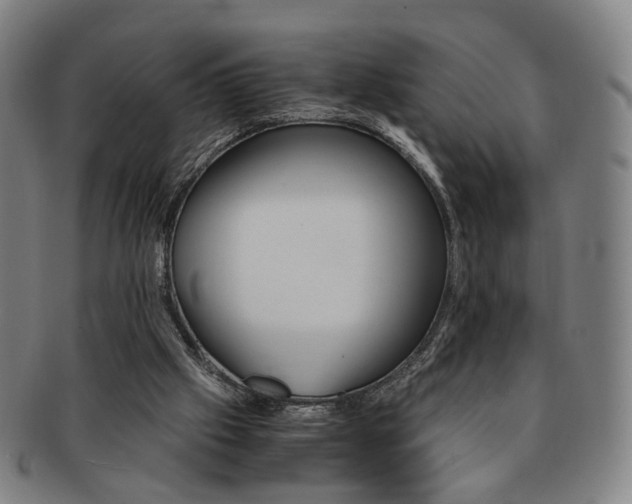X0000091650057200708231019