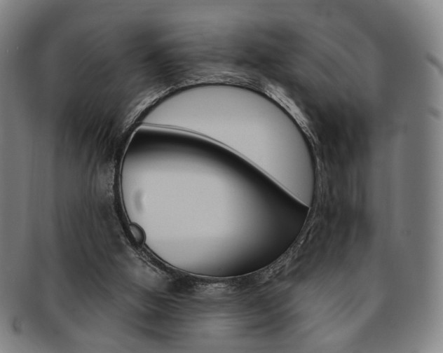 X0000091650058200708231019