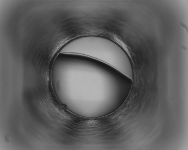X0000091650059200708231019