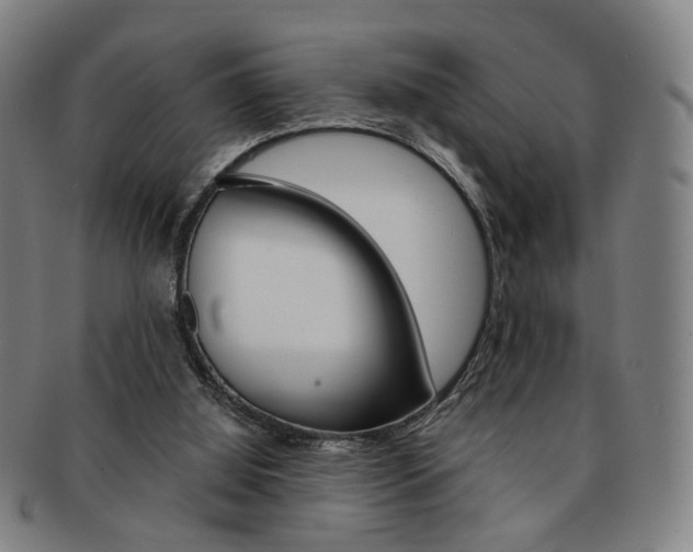 X0000091650060200708231019