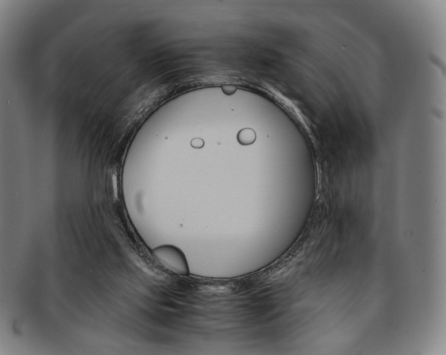X0000091650061200708231019
