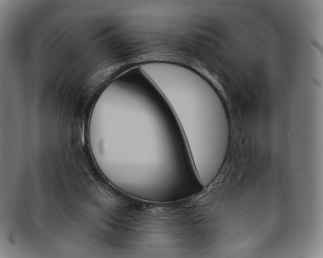 X0000091650062200708231019