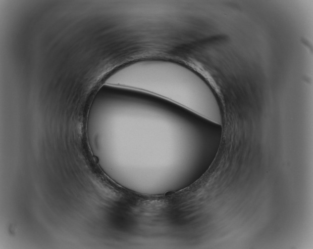 X0000091650063200708231019
