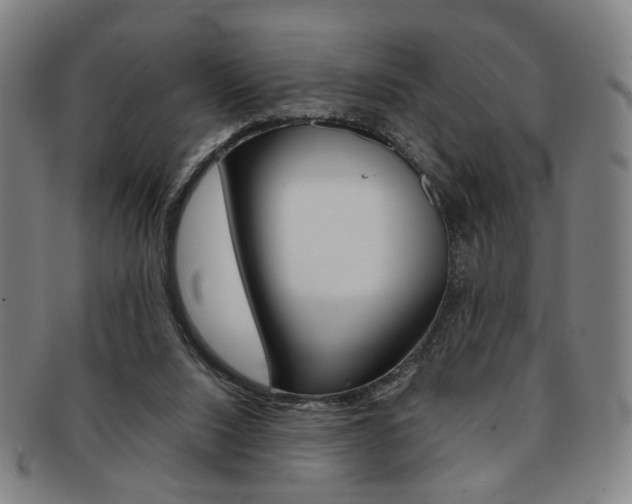 X0000091650064200708231019