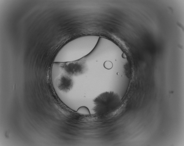 X0000091650065200708231019