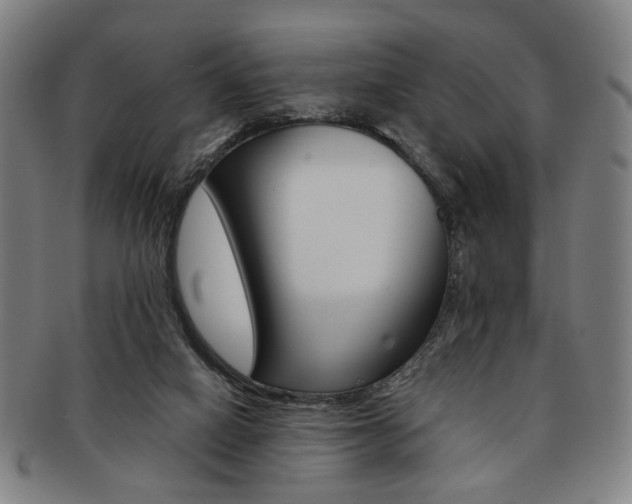 X0000091650066200708231019