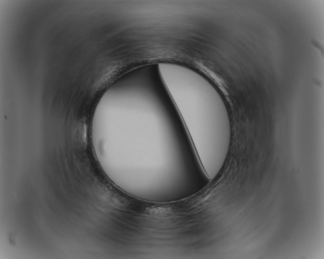 X0000091650067200708231019