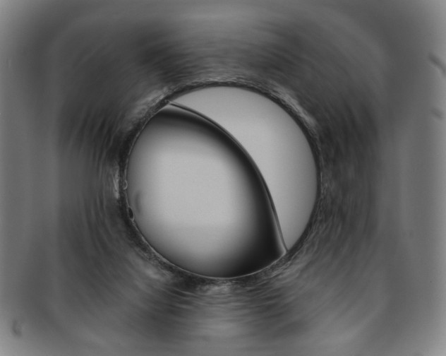 X0000091650068200708231019