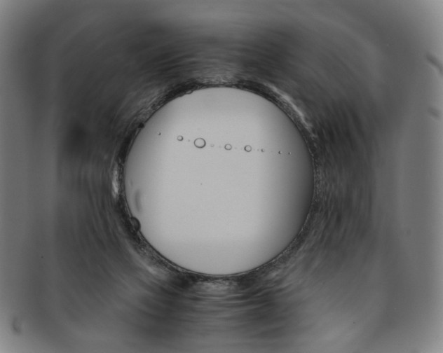 X0000091650069200708231019