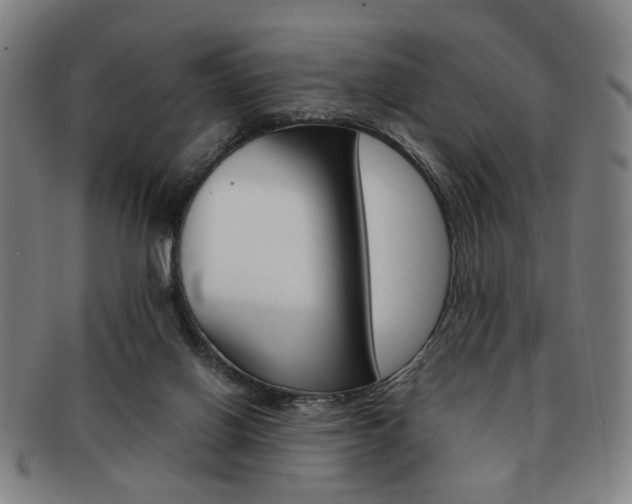 X0000091650070200708231019