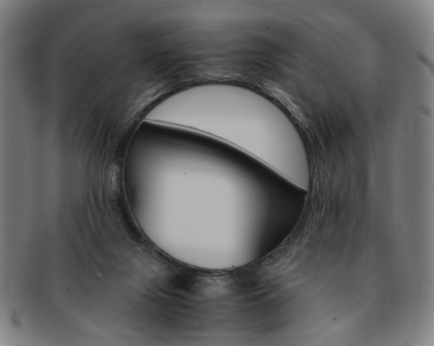 X0000091650071200708231019