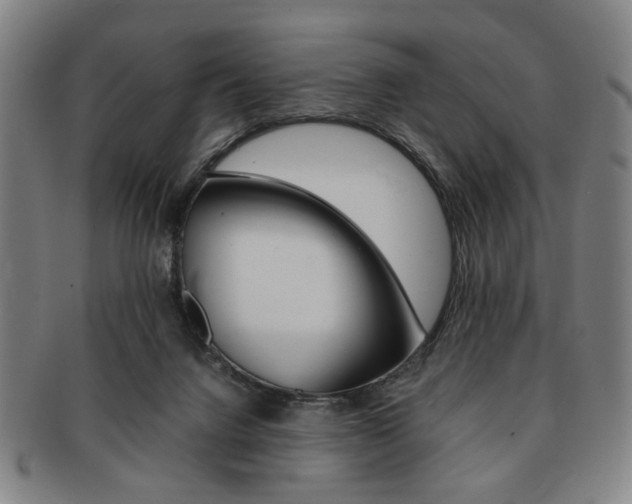 X0000091650072200708231019
