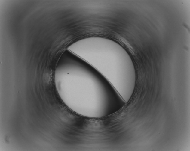 X0000091650073200708231019