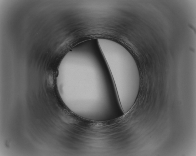 X0000091650074200708231019