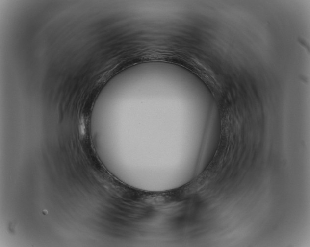 X0000091650075200708231019
