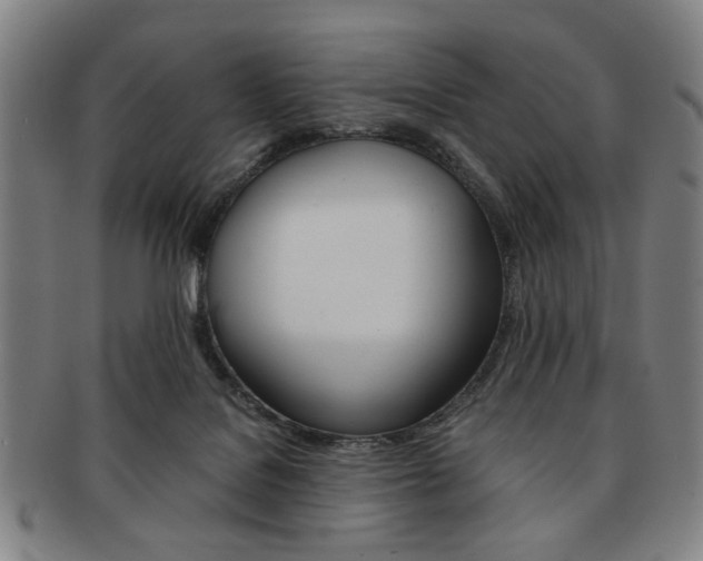 X0000091650076200708231019