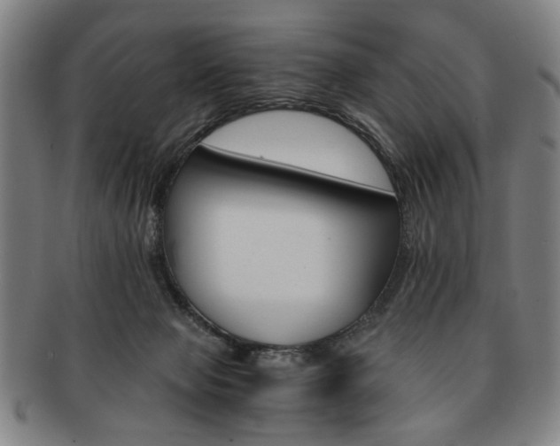 X0000091650077200708231019