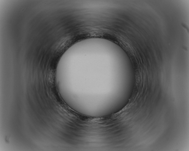 X0000091650078200708231019