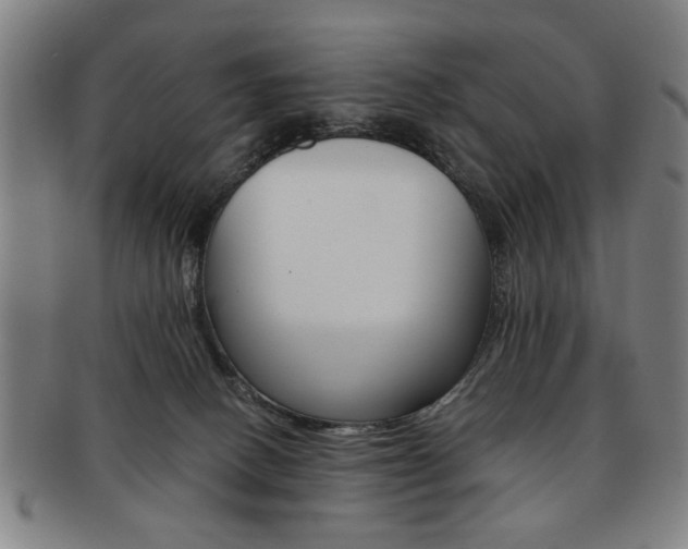 X0000091650082200708231019