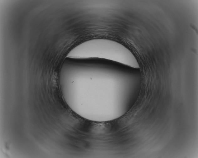 X0000091650083200708231019