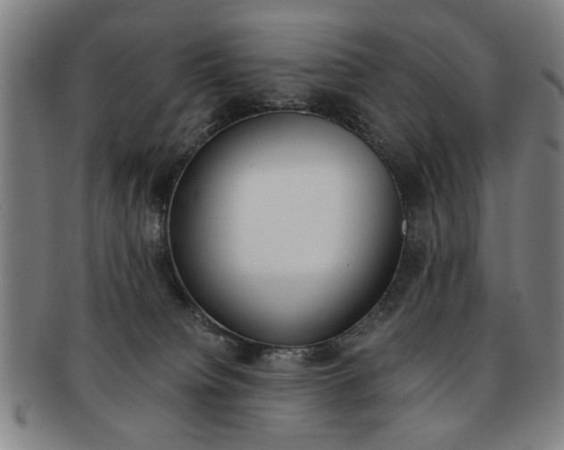 X0000091650084200708231019