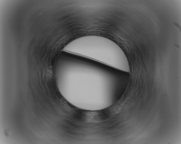X0000091650085200708231019