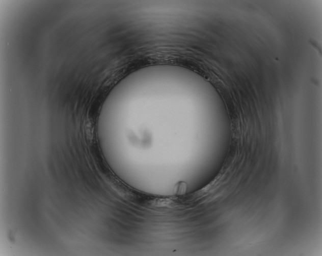 X0000091650086200708231019