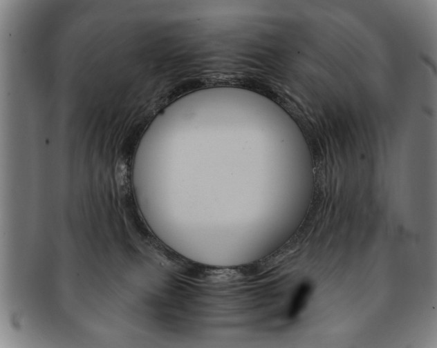 X0000091650087200708231019