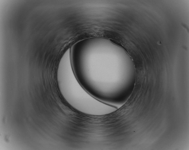 X0000091650088200708231019