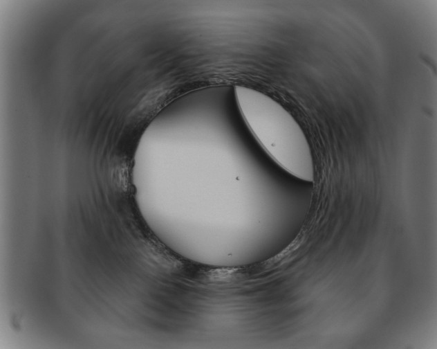 X0000091650090200708231019