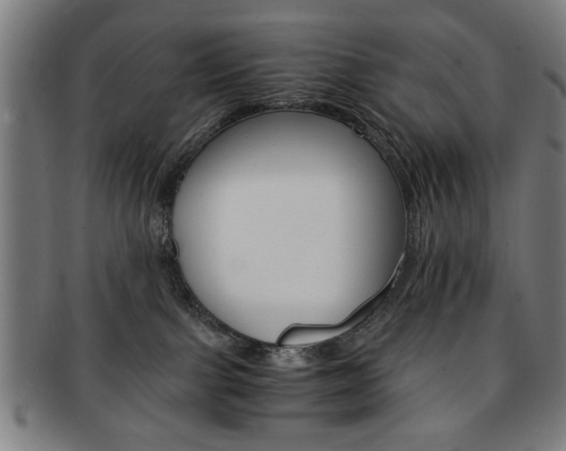 X0000091650091200708231019