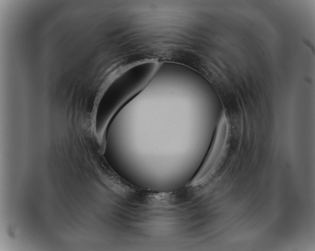X0000091650092200708231019