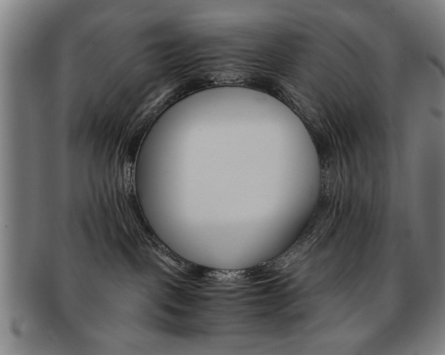 X0000091650093200708231019