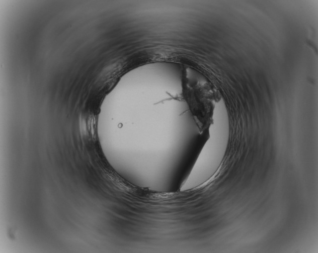 X0000091650094200708231019