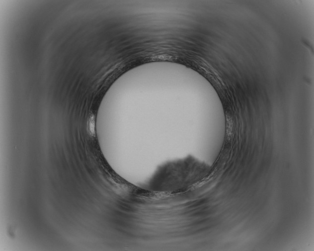 X0000091650095200708231019