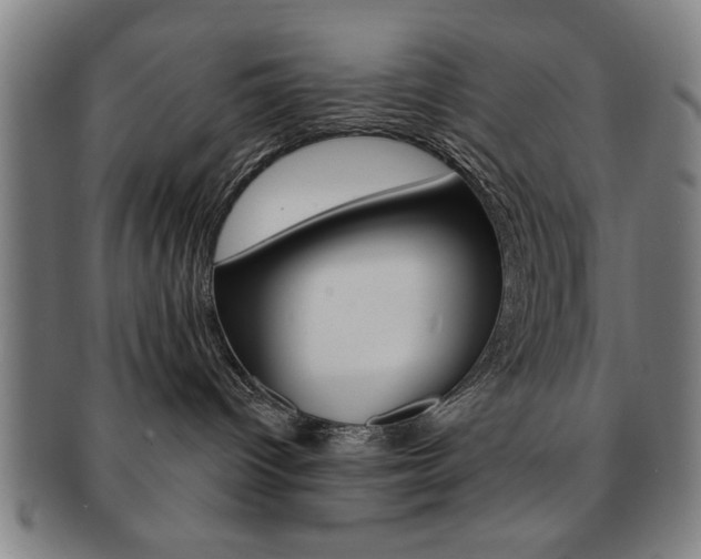 X0000091650096200708231019