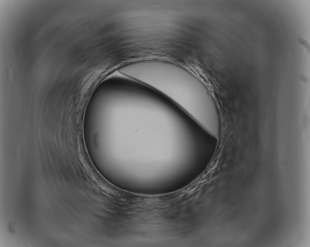 X0000091650097200708231019