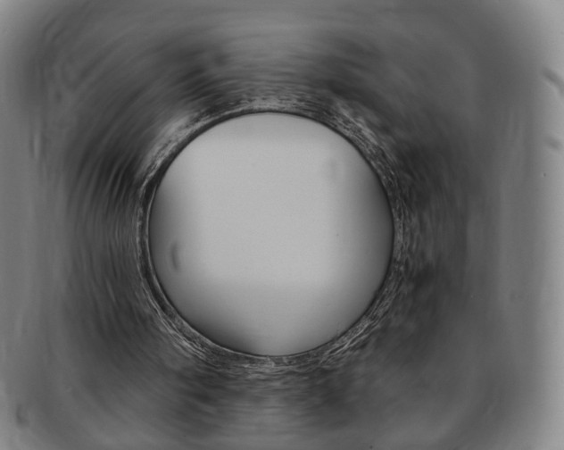 X0000091650098200708231019
