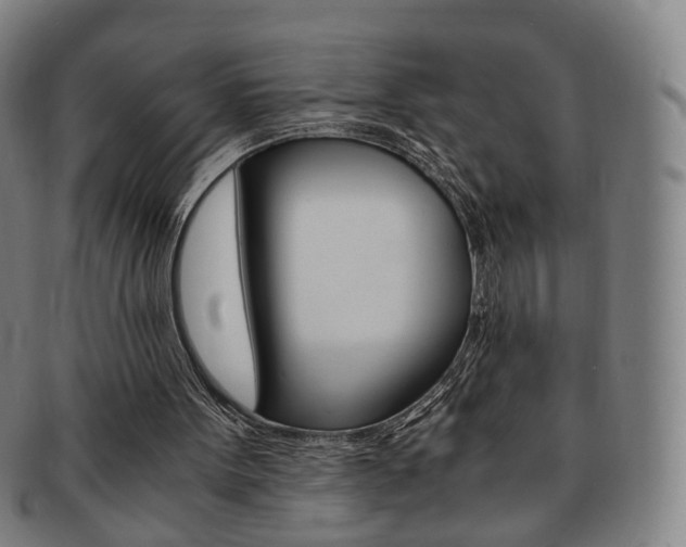 X0000091650099200708231019