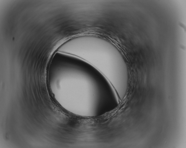 X0000091650100200708231019