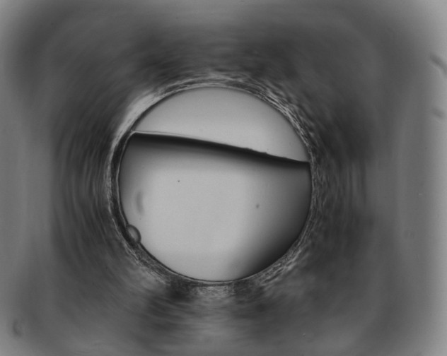 X0000091650102200708231019