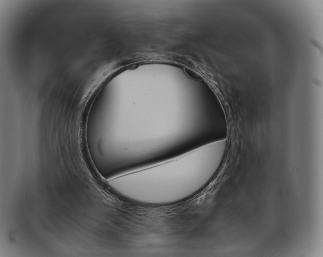 X0000091650103200708231019