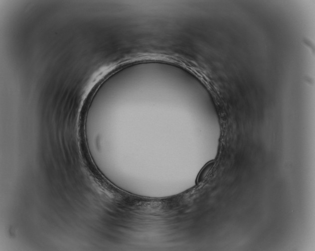 X0000091650104200708231019