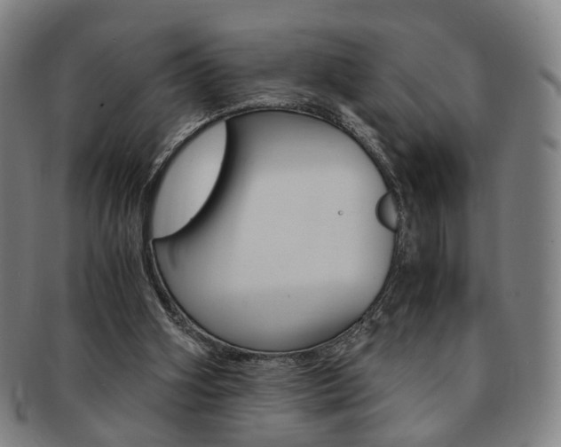 X0000091650106200708231018