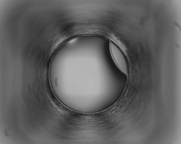 X0000091650107200708231018