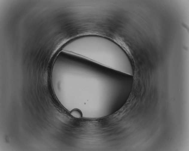 X0000091650108200708231018